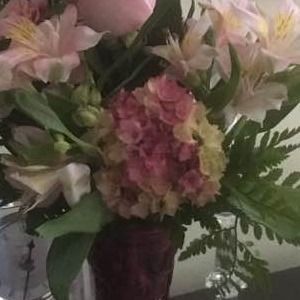 Meet your Posher, Judy